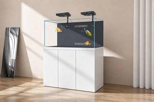 Low Iron Glass Marine Reef Aquarium with Overflow Sump - Ruibit Aquarium glass aquarium tank