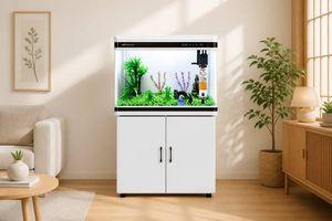 130L Rectangular Glass Aquarium with Cabinet & Top Filter - Ruibit Aquarium filtration system