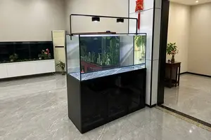 Pipe-Free Sump Filter Aquarium 100 Gallon Ultra White Glass - Ruibit Aquarium filtration system