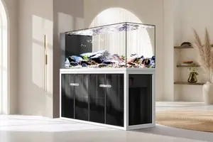 Custom Glass Aquarium Fish Pond Frameless Large Full Set - Ruibit Aquarium glass aquarium tank