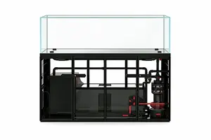 Ultra White Glass Arowana Aquarium No-Pipe Design - Ruibit Aquarium glass aquarium tank