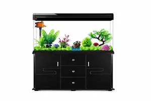 Ultra-White Rectangle Glass Aquarium No Water Change - Ruibit Aquarium glass aquarium tank
