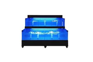 Ruibit Custom Factory 2-Tier Live Seafood Display Tank - Ruibit Aquarium glass aquarium tank